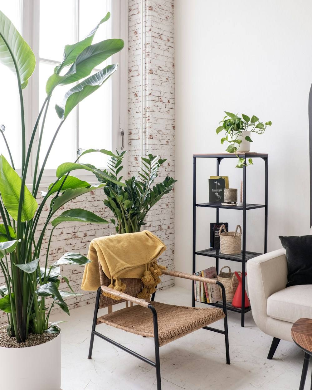 A sunlit armchair surrounded by plants